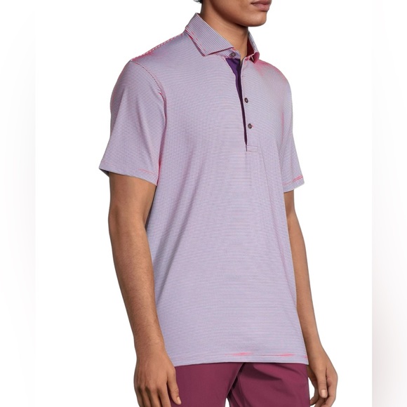 Greyson Saranac Striped Polo, Sasanqua, NWT $98, Small - Picture 4 of 7